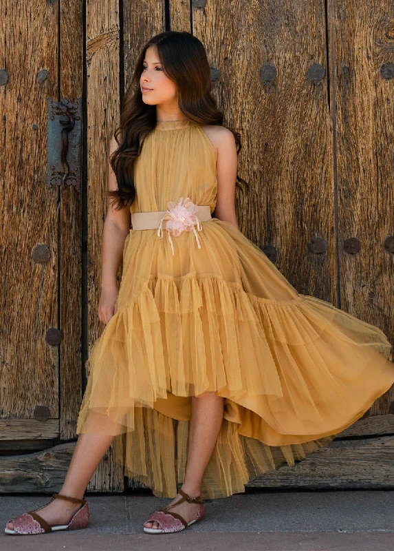 Discount Mania Fay Dress in Honey