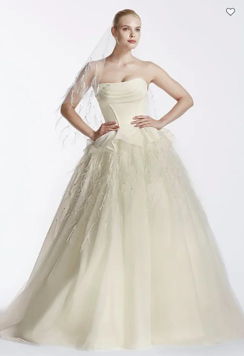 Take Advantage Zac Posen Organza